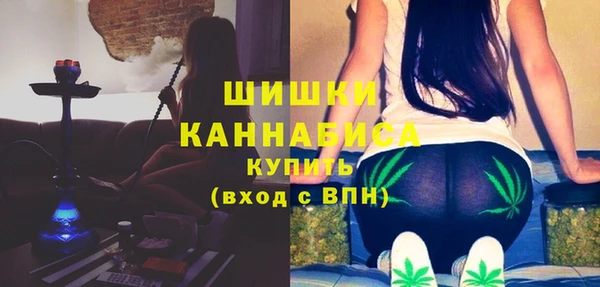 молекула духа Инсар