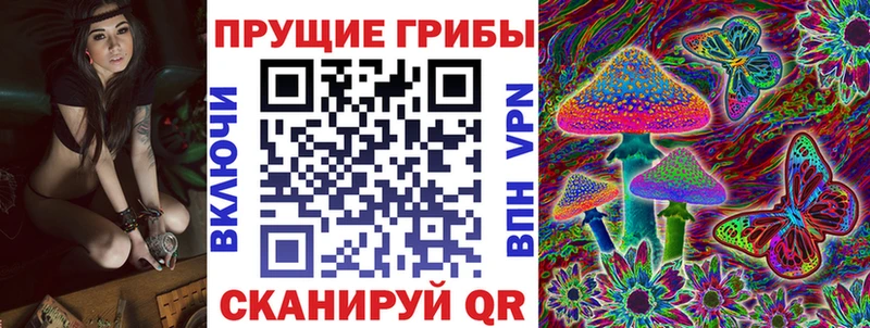 Купить где  Фрязино  Псилоцибиновые грибы прущие грибы 